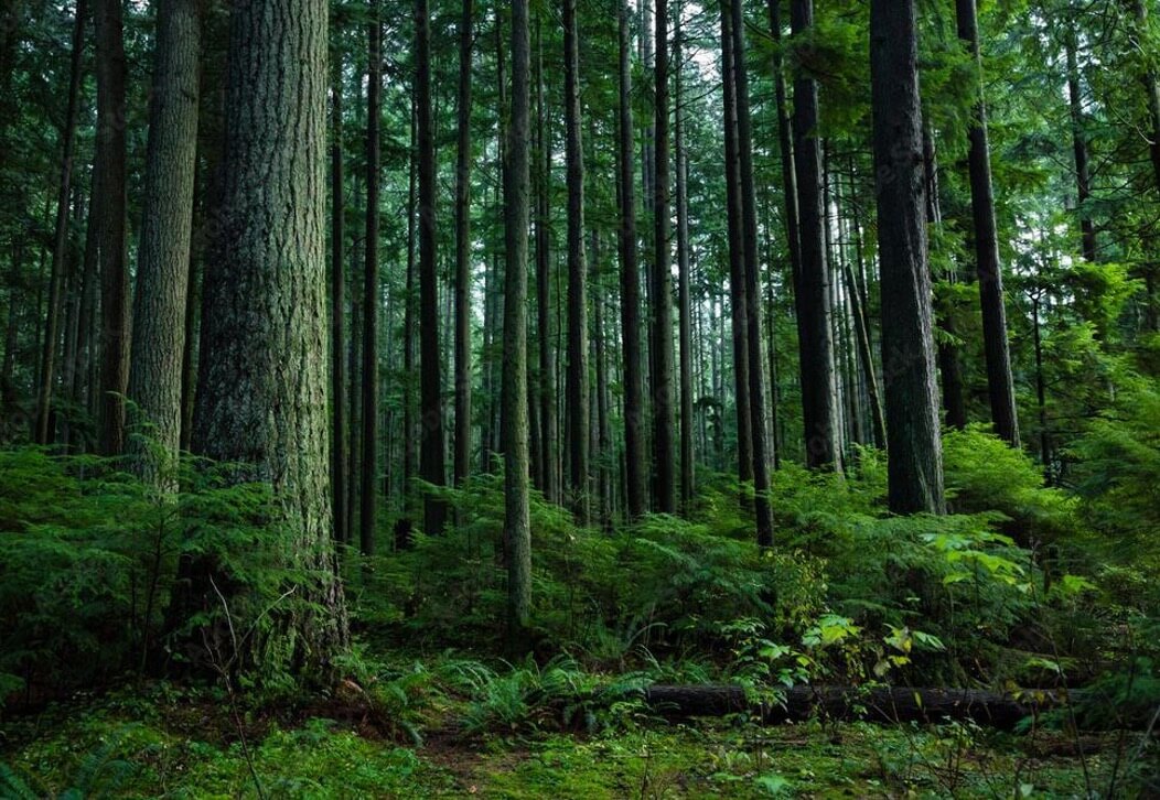 「THE TOBACCO」全国190カ所でサステナブル型喫煙所を本格始動